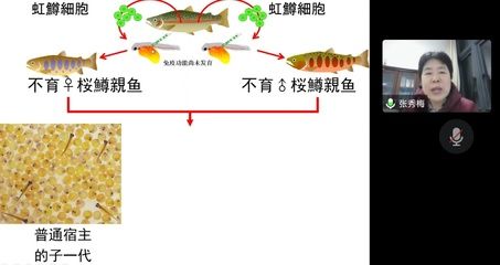 朱巴利魚繁殖行為變化：朱巴利魚的繁殖行為的生態(tài)意義 其他寵物 第5張