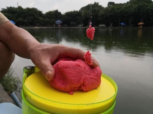 魚苗飼料防潮小妙招：魚苗飼料防潮小妙招，有效防止魚苗在飼料中受潮變質(zhì) 其他寵物 第3張