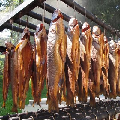 招財(cái)貓魚(yú)繁殖池pH值調(diào)節(jié)方法：招財(cái)貓魚(yú)繁殖池ph值調(diào)節(jié)方法 其他寵物