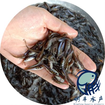 漁場(chǎng)直供商品的退換貨流程：漁場(chǎng)直供商品退換貨流程 其他寵物 第2張