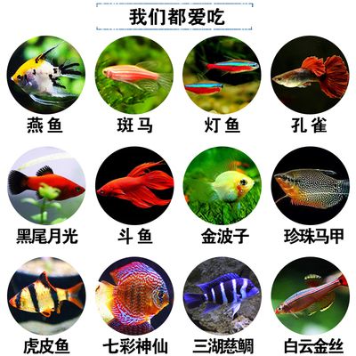 金三間魚(yú)幼魚(yú)期飼料品牌推薦：觀賞魚(yú)幼魚(yú)期飼料選擇指南，金三間魚(yú)幼魚(yú)飼料品牌用戶評(píng)價(jià) 其他寵物 第4張