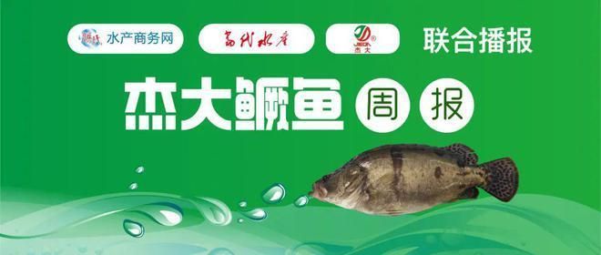 節(jié)日期間魚價(jià)受政策影響情況：政策如何調(diào)控節(jié)日魚價(jià) 其他寵物 第2張