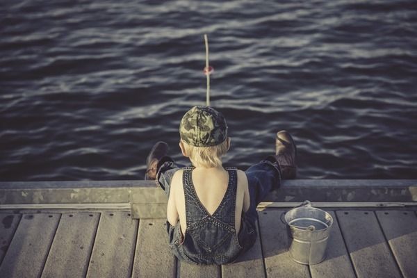 六角恐龍魚(yú)放多少厘米深水：六角恐龍魚(yú)的水深要求 其他寵物 第2張