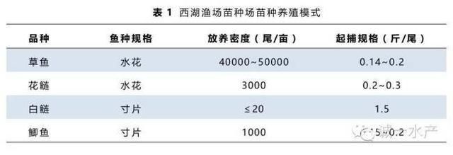 魚苗專用飼料選購(gòu)指南：魚苗專用飼料的選購(gòu)指南 其他寵物 第3張