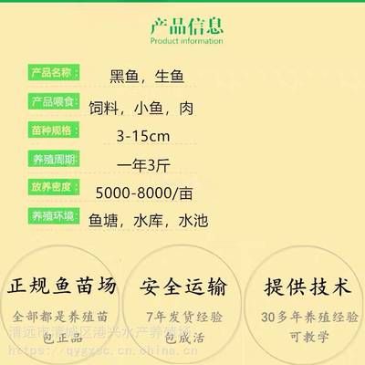 魚苗專用飼料選購(gòu)指南：魚苗專用飼料的選購(gòu)指南 其他寵物 第5張