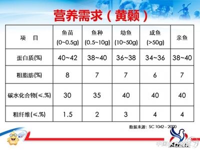 魚苗專用飼料選購(gòu)指南：魚苗專用飼料的選購(gòu)指南 其他寵物 第2張