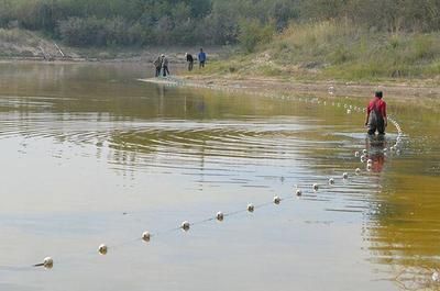 雪鯽魚(yú)最佳養(yǎng)殖水溫控制：雪鯽魚(yú)養(yǎng)殖水溫控制 其他寵物 第5張