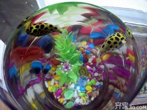 潛水艇魚(yú)適宜水溫控制方法：潛水艇魚(yú)冬季保溫技巧潛水艇魚(yú)夏季降溫方案 其他寵物 第5張