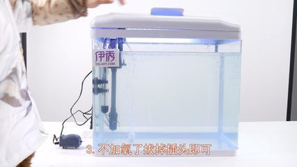 氧氣泵對(duì)熱帶魚的影響：合理使用氧氣泵對(duì)熱帶魚的健康和生存有著積極的影響 其他寵物 第3張