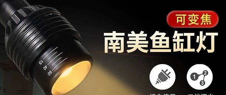 水族箱日光燈與LED對比：水族箱日光燈與led燈的區(qū)別 其他寵物 第1張