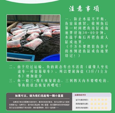 大正錦鯉飼料營養(yǎng)成分表：大正錦鯉飼料品牌推薦 其他寵物 第3張