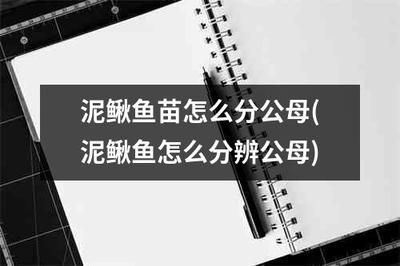 鑒別魚苗性別的最佳時(shí)機(jī)：如何鑒別魚苗性別