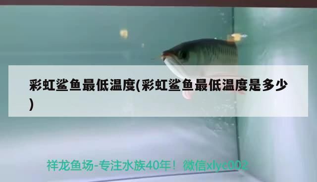 鯊魚卵孵化的最佳溫度范圍：鯊魚卵孵化的最佳溫度范圍可能在20~25℃之間 其他寵物 第2張