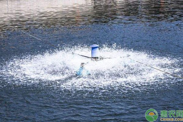 魚苗池塘增氧設(shè)備選型：魚苗池塘增氧設(shè)備 其他寵物 第1張