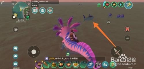 龍魚喂蝦需要去殼嗎：龍魚喂蝦時需考慮去殼問題 水族問答 第1張