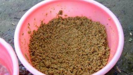 魚苗飼料耐水性測試方法：飼料耐水性測試方法 其他寵物 第5張