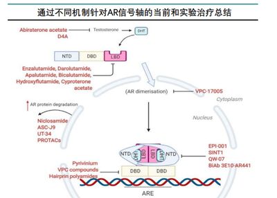 CLR拮抗劑臨床試驗(yàn)進(jìn)展：clr拮抗劑在臨床研究中的最新進(jìn)展 其他寵物 第5張