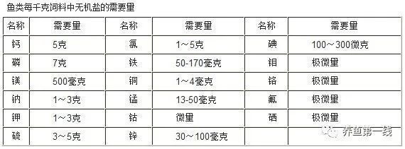 羽毛刀魚(yú)苗飼料營(yíng)養(yǎng)價(jià)值對(duì)比：羽毛刀魚(yú)苗飼料營(yíng)養(yǎng)價(jià)值對(duì)比分析 其他寵物 第2張