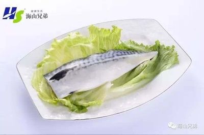 玉鯖魚(yú)生活習(xí)性研究：玉鯖魚(yú)最佳養(yǎng)殖水溫范圍 其他寵物 第2張