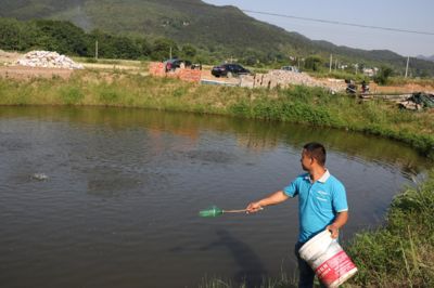 鴨嘴魚常見疾病及預(yù)防：鴨嘴魚常見疾病及預(yù)防措施 其他寵物 第4張