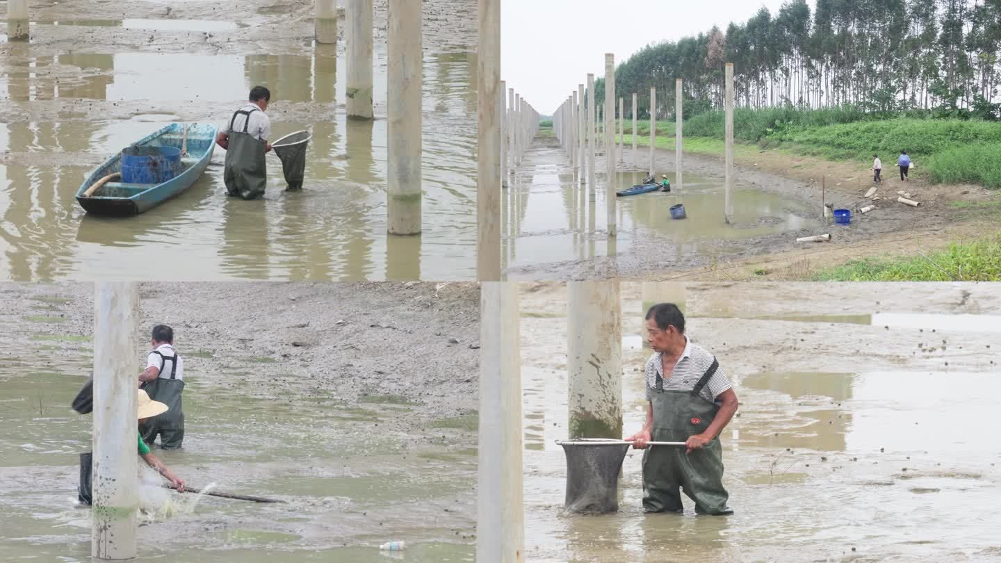 魚塘消毒后魚開口時(shí)間預(yù)測：魚塘消毒后的魚開口時(shí)間預(yù)測 其他寵物 第6張