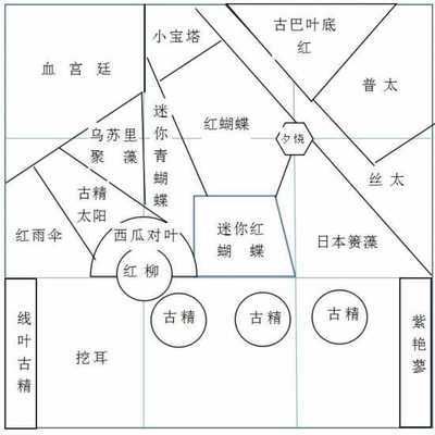 繁殖缸內(nèi)水草布局設(shè)計(jì)技巧：繁殖缸內(nèi)水草的布局設(shè)計(jì)技巧及日常維護(hù)方法 其他寵物 第2張