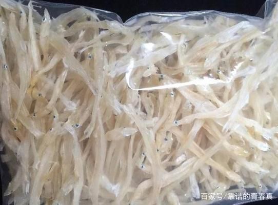 銀魚苗品質(zhì)差異影響因素：影響銀魚苗品質(zhì)的主要因素 其他寵物 第1張