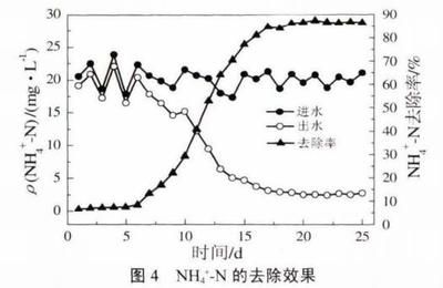 穩(wěn)定水流對(duì)生物附著的影響：水流對(duì)生物附著的影響 其他寵物 第5張