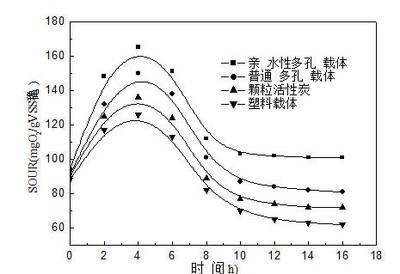 穩(wěn)定水流對(duì)生物附著的影響：水流對(duì)生物附著的影響 其他寵物 第4張