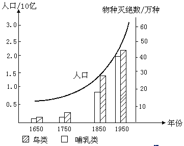 穩(wěn)定水流對(duì)生物附著的影響：水流對(duì)生物附著的影響 其他寵物 第3張