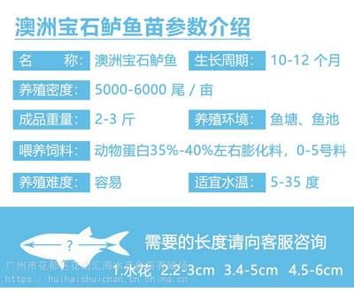 福滿鉆魚不同生長期飼料選擇：福滿鉆魚在不同生長期的飼料選擇是確保魚的健康成長的關(guān)鍵