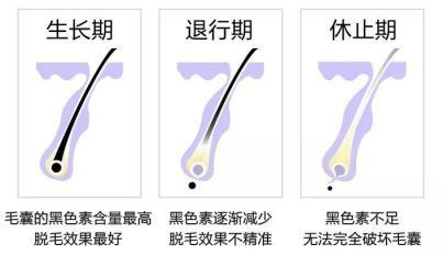 福滿鉆魚不同生長(zhǎng)期飼料選擇：福滿鉆魚在不同生長(zhǎng)期的飼料選擇是確保魚的健康成長(zhǎng)的關(guān)鍵 其他寵物 第3張