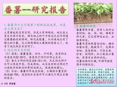 福滿鉆魚不同生長(zhǎng)期飼料選擇：福滿鉆魚在不同生長(zhǎng)期的飼料選擇是確保魚的健康成長(zhǎng)的關(guān)鍵 其他寵物 第4張