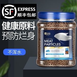 龍魚新入缸害怕怎么回事：龍魚新入缸為何會(huì)顯得特別膽小 水族問答 第1張