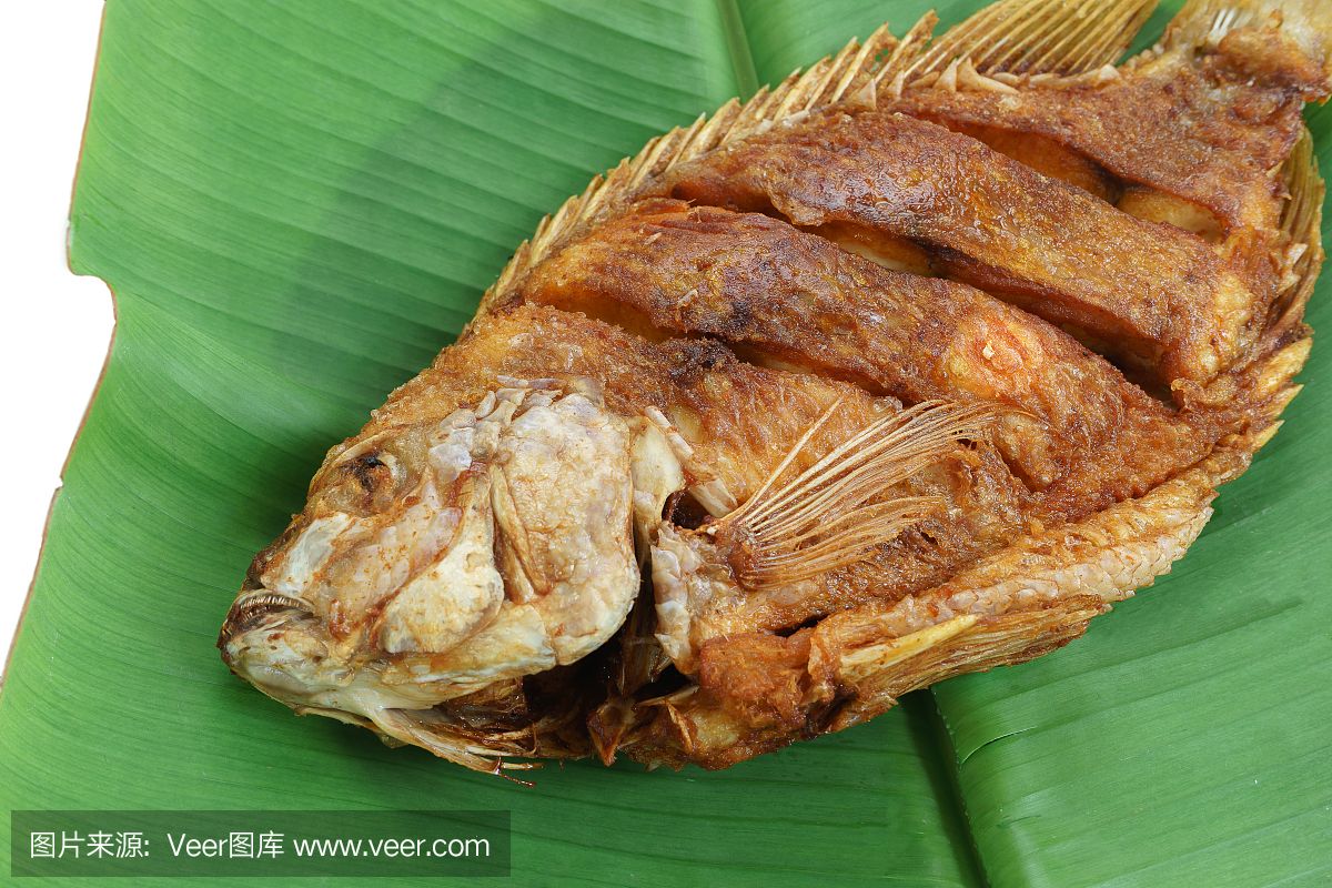 寶石魚日常飲食搭配建議：寶石魚日常飲食搭配需要考慮到它們的自然食性和營養(yǎng)需求 其他寵物 第5張