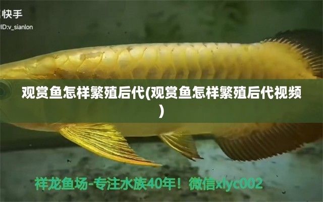 月光鴨嘴魚生長周期研究：月光鴨嘴魚的生長周期 其他寵物 第2張