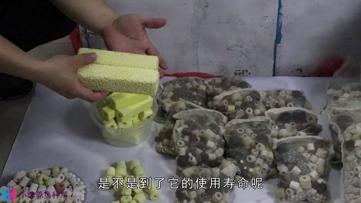 濾材更換的最佳時(shí)機(jī)是什么時(shí)候：濾材更換的最佳時(shí)機(jī) 其他寵物 第3張