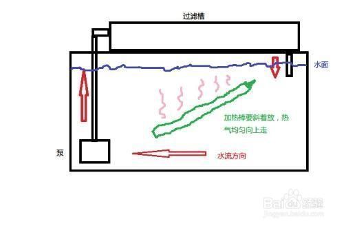 加熱棒維護(hù)常見問題：加熱棒使用壽命延長策略 其他寵物 第1張