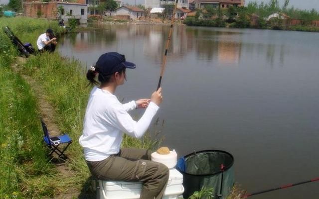 幼魚食物演變與季節(jié)關(guān)系：不同季節(jié)幼魚食物變化，如何根據(jù)季節(jié)調(diào)整幼魚飼料 其他寵物 第5張