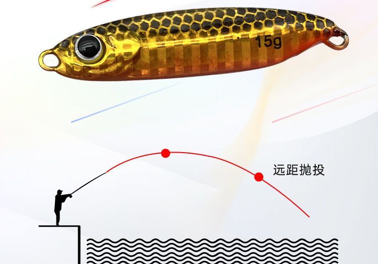 羽毛刀魚苗生長速率影響因素：羽毛刀魚苗的生長速率受到多種因素影響魚苗生長速度 其他寵物 第5張