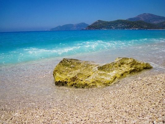 野彩魚繁殖缸布置技巧：野彩魚繁殖缸光照管理方法，野彩魚繁殖缸內(nèi)植物布局技巧 其他寵物 第2張