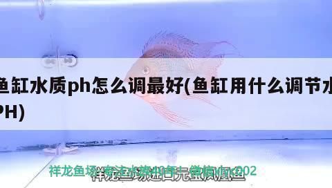 三間魚水質(zhì)管理方法：三間魚水質(zhì)檢測頻率,魚缸清潔周期安排,合理增氧設(shè)備推薦 其他寵物 第4張