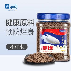 招財戰(zhàn)船魚適宜的飼料類型：招財戰(zhàn)船魚適宜的飼料類型包括動物性飼料類型的詳細(xì)信息 其他寵物 第4張