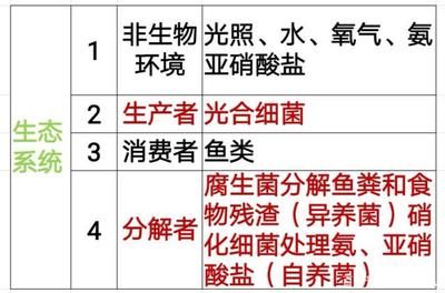 過濾系統(tǒng)中益生菌的作用：益生菌在水處理中的基本原理、作用機(jī)制以及實(shí)際應(yīng)用案例 其他寵物 第4張