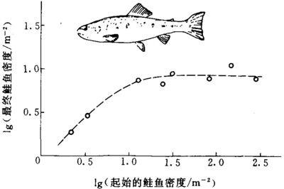 魚類繁殖期如何調(diào)控密度：魚類繁殖期如何調(diào)控密度以提高繁殖率 其他寵物 第4張