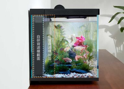 水族箱維護(hù)頻率及方法：水族箱的維護(hù)頻率及方法 其他寵物 第3張