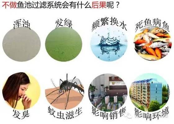 如何提高濾材生物附著：如何提高濾材生物附著力 其他寵物 第4張