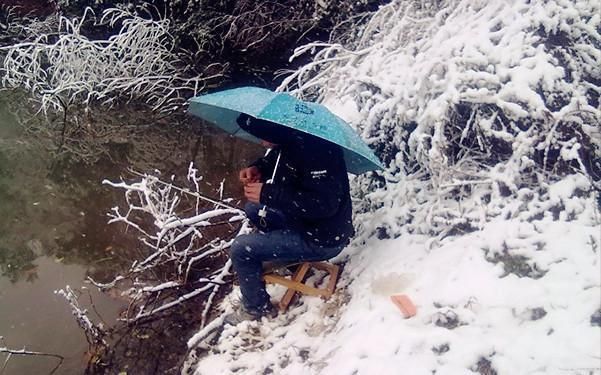 雪天釣鯽魚(yú)的最佳時(shí)段：雪天釣鯽魚(yú)的最佳時(shí)段主要集中在以下幾個(gè)方面 其他寵物 第5張