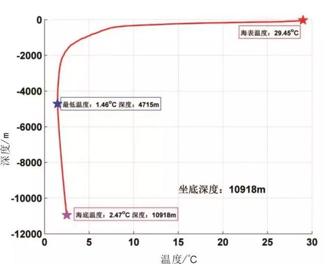 白子球鯊魚幼體適宜水溫范圍：白子球鯊魚幼體適宜水溫范圍嗎 其他寵物 第2張