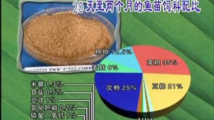 魚苗飼料轉(zhuǎn)換期飼料配比技巧：提升幼魚生長效率的關鍵：飼料轉(zhuǎn)換期技巧